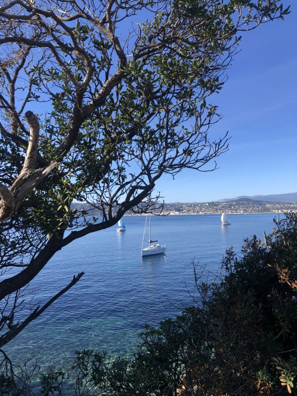 Sailboats at anchor seen through the trees of Cap d'Antibes with the coast in the distance